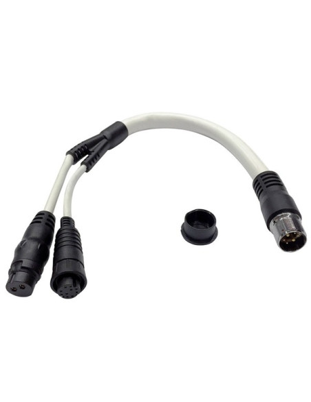 Câble adaptateur Quantum Alimentation et DataRaymarineA80308