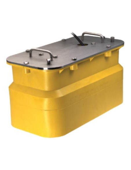 R599 D/T Sonde à coller Low-Medium Hi Performance 3KW Raymarine