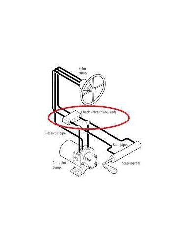 D.P. Check Valve-Raymarine-M81166-Seaelec.fr