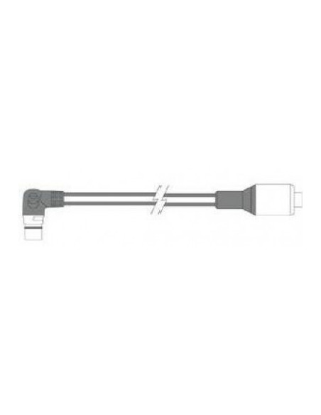 STng coudé – DeviceNet 1mRaymarineA06080